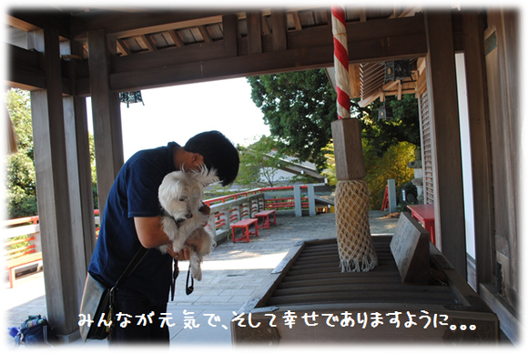 b0242873_044334.png