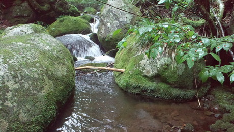 e0275078_13594131.jpg