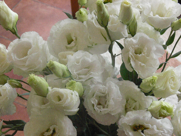 e0140986_1571036.jpg