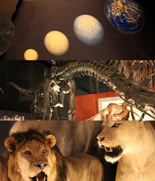 e0177190_10361644.jpg