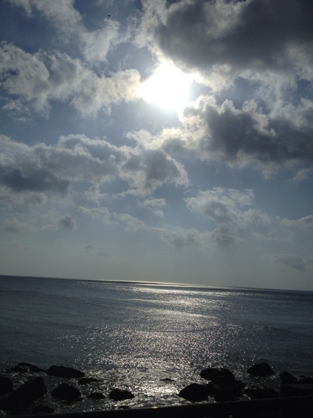 c0052091_23302757.jpg
