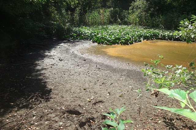 e0070891_19342864.jpg