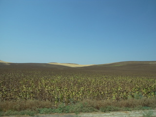 a0137192_16059100.jpg