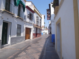 a0137192_1632360.jpg