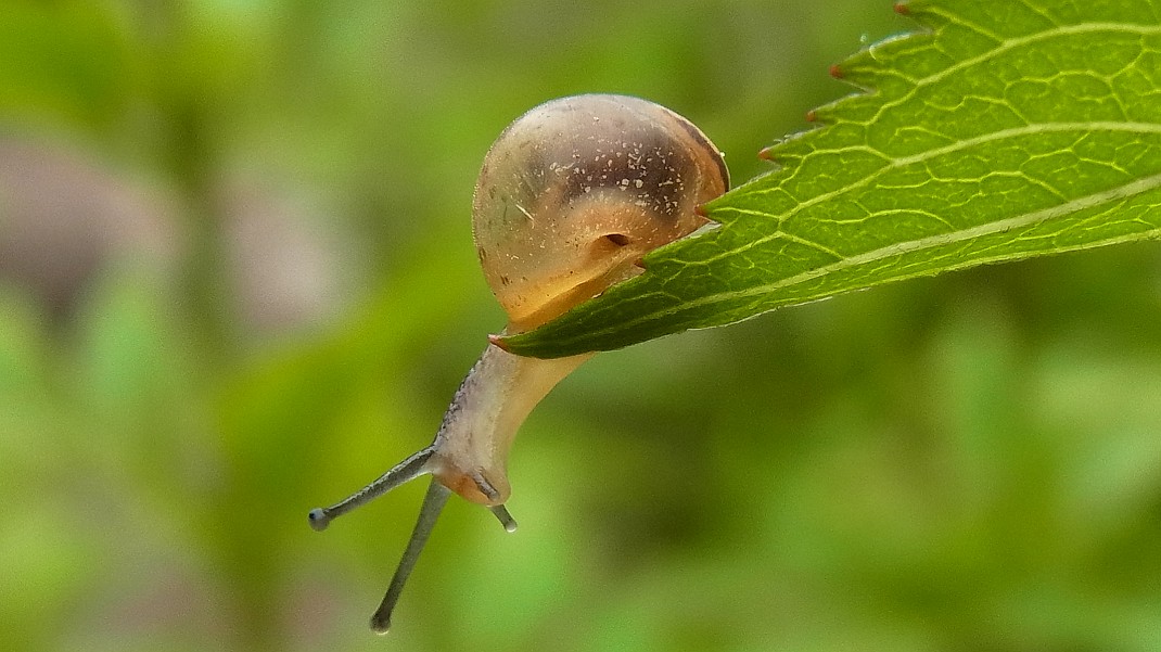 a0152692_1834515.jpg