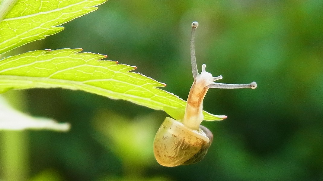 a0152692_1842241.jpg