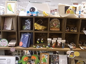 東急ハンズ梅田店「インコと鳥の雑貨展」新着情報_d0322493_14163662.jpg