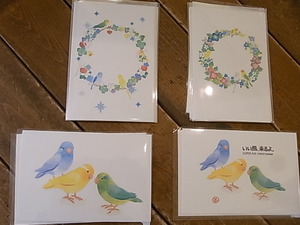鳥展の作品全体の様子、作品紹介、今後の展示予定更新_d0322493_15153337.jpg