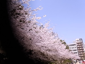 ひたき工房オーダー作品到着。東急ハンズ展示は31日迄_d0322493_15162472.jpg