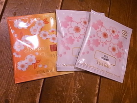 松岡文個展DM、鳥展新作の作品が続々届きました!_d0322493_15165012.jpg