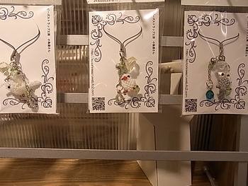 鳥展の新着情報と、東急ハンズ梅田「インコと鳥の~」様子_d0322493_15165156.jpg