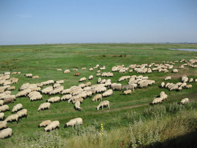 c0240600_19154689.jpg