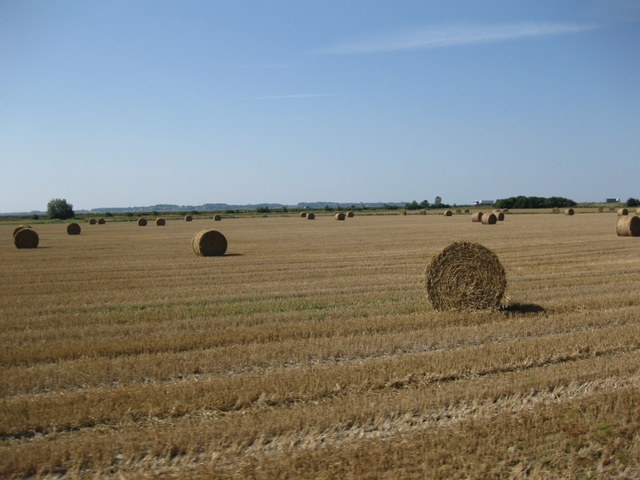c0240600_19171532.jpg