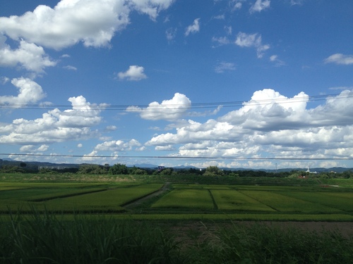 a0000006_152236.jpg
