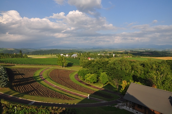 白菜大好き。。北海道旅行・美瑛。。_c0205806_22351826.jpg