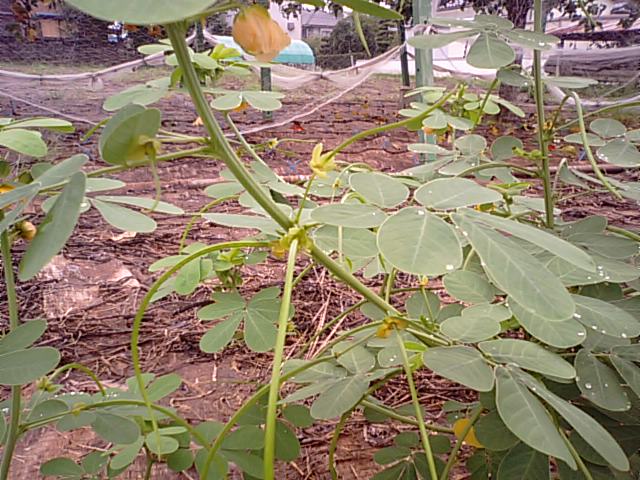 f0231709_2013687.jpg