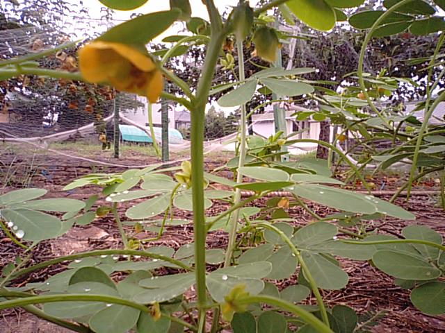 f0231709_2021465.jpg