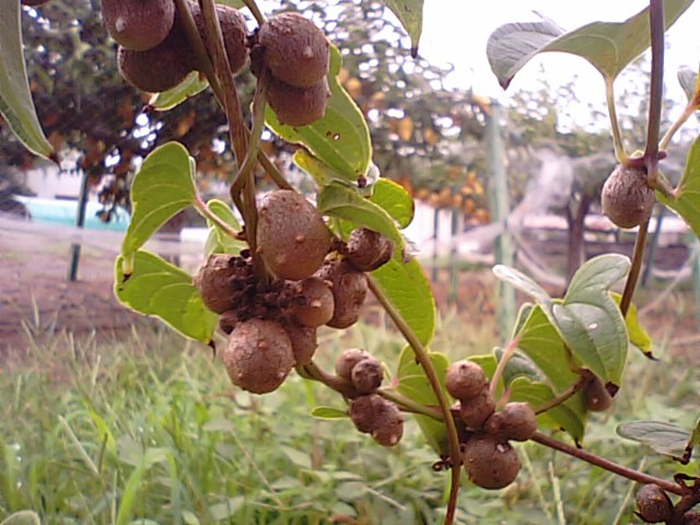f0231709_20412589.jpg