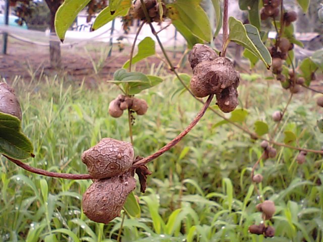 f0231709_20422410.jpg