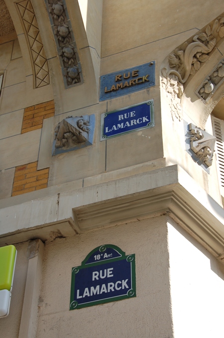 rue Lamark_e0082110_44296.jpg