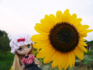 b0146611_2132398.jpg