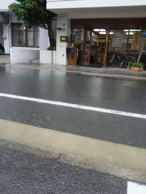 道路冠水_b0131012_14313068.jpg