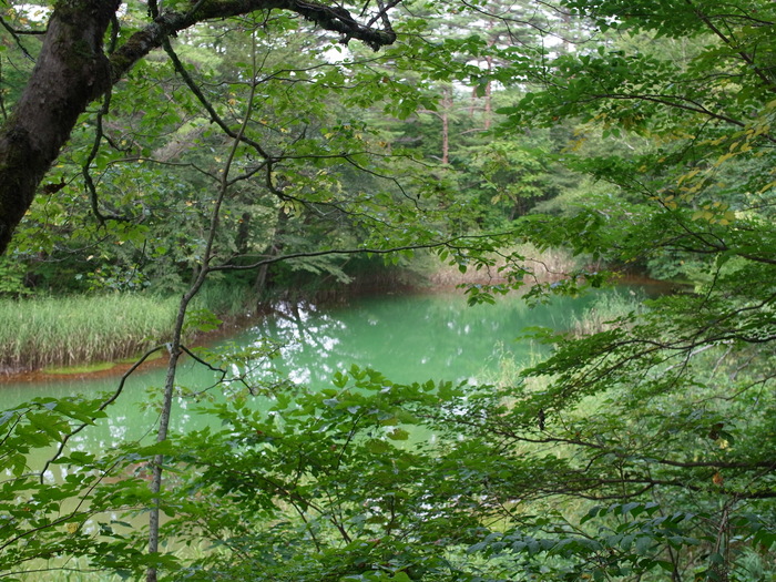 c0271012_2233060.jpg