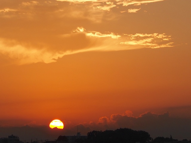 c0248013_21392243.jpg