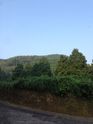 d0194613_19251151.jpg