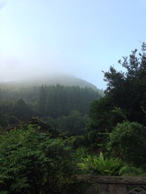 d0194613_1925545.jpg