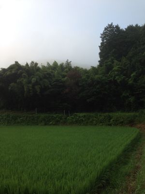 d0194613_1925624.jpg