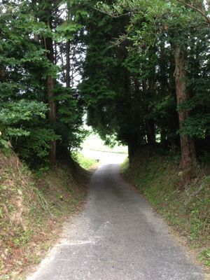d0194613_1925718.jpg