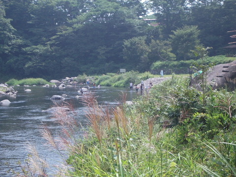 a0279321_11405175.jpg
