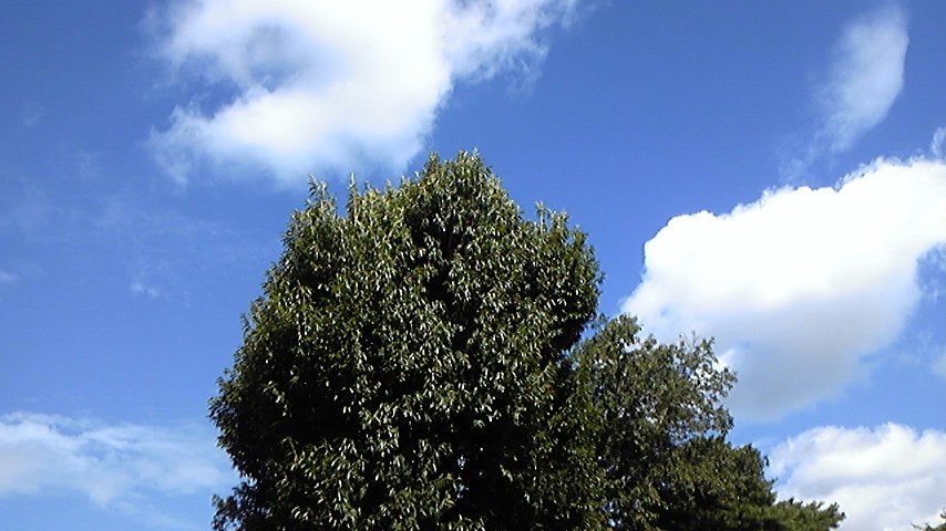 c0038722_9425610.jpg
