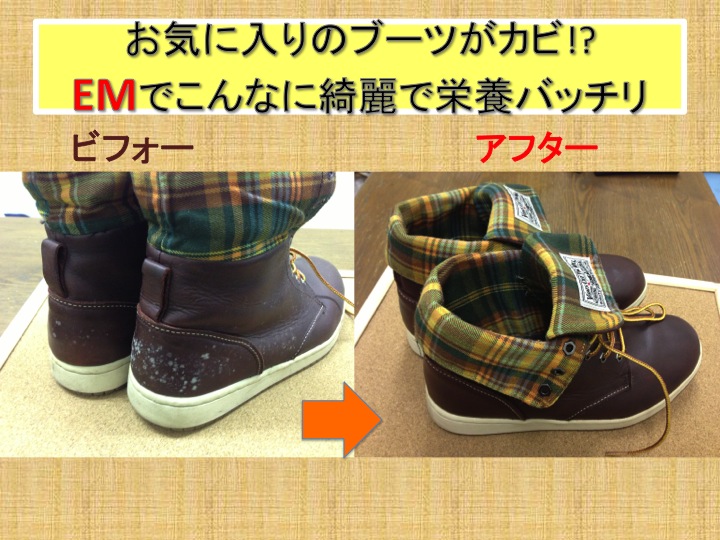 今週のお花とセール情報_a0200423_1343374.jpg