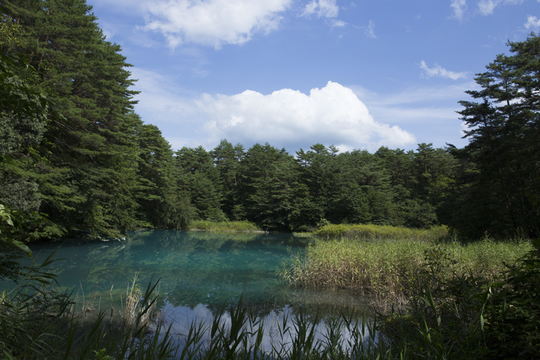 e0238623_1819341.jpg