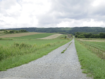 d0258224_126187.jpg