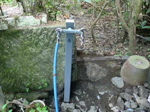 エコらす in 鹿児島!!_d0125228_053545.jpg