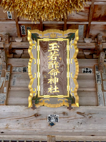 「いかこい島根・隠岐の旅行ってきました!」_a0000029_12505383.jpg
