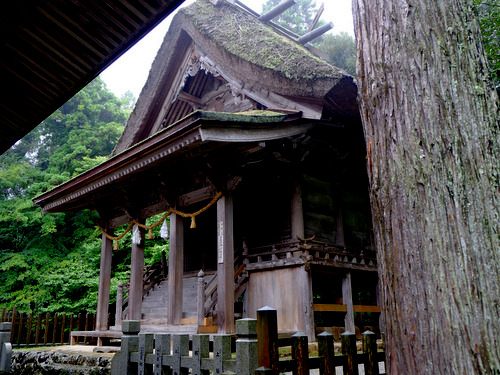 「いかこい島根・隠岐の旅行ってきました!」_a0000029_12514630.jpg