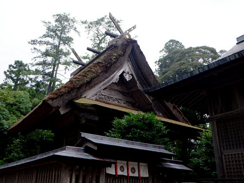「いかこい島根・隠岐の旅行ってきました!」_a0000029_13105215.jpg