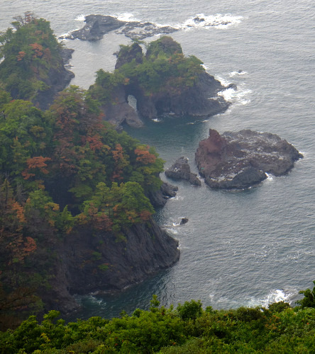 「いかこい島根・隠岐の旅行ってきました!」_a0000029_1342852.jpg