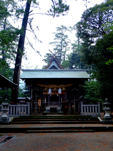 「いかこい島根・隠岐の旅行ってきました!」_a0000029_1393561.jpg