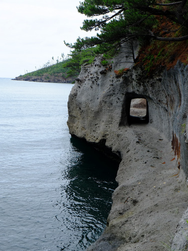 「いかこい島根・隠岐 八朔の牛突き」_a0000029_222155.jpg