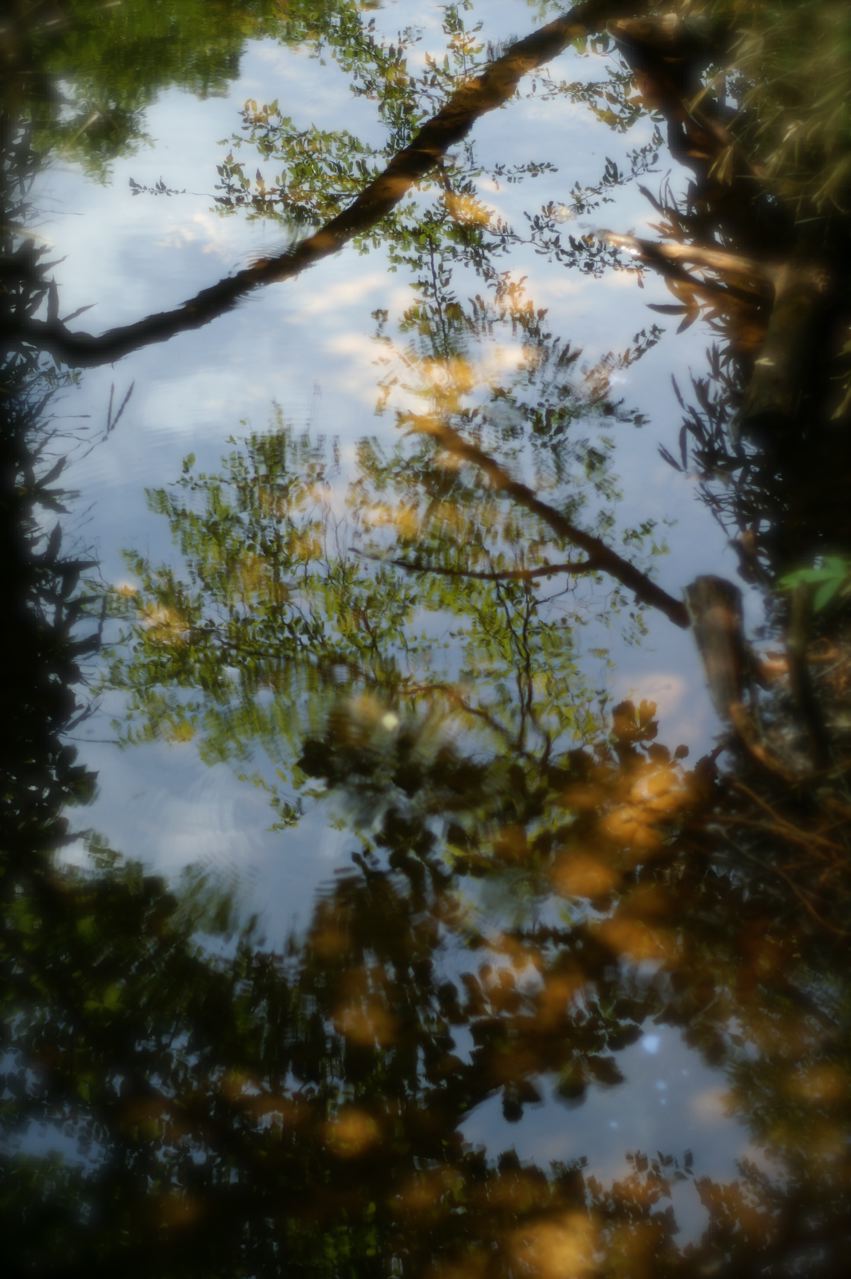 e0044929_7382854.jpg