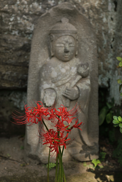 鎌倉散歩　#36 －初秋の北鎌倉巡り（円覚寺・中編）－_b0169330_22573163.jpg