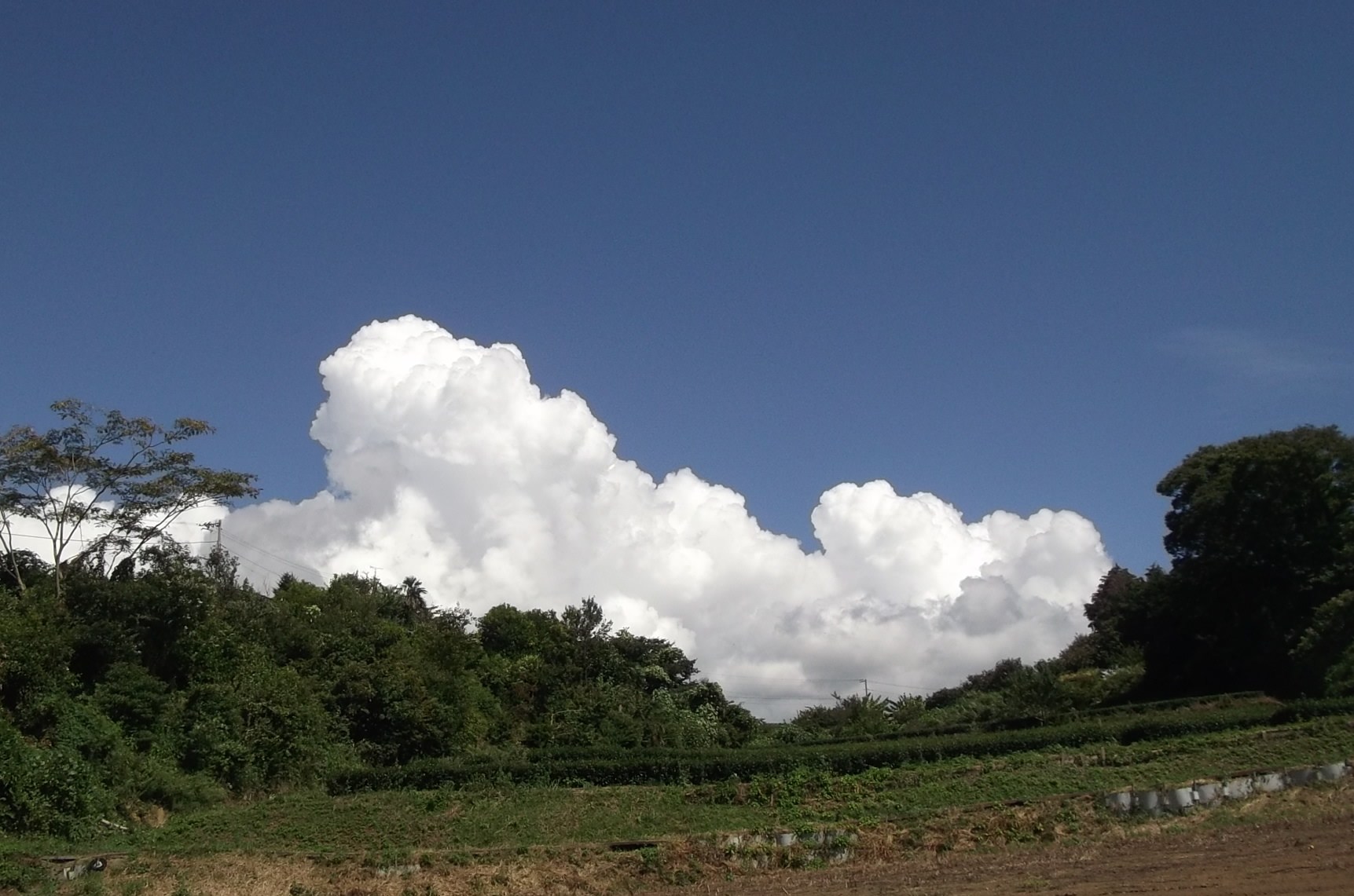 b0137932_14414182.jpg