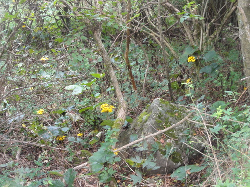 c0147935_22542625.jpg