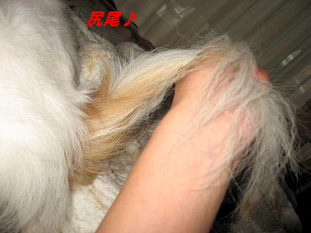 a0149240_1641019.jpg
