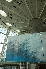 e0080345_8405254.jpg